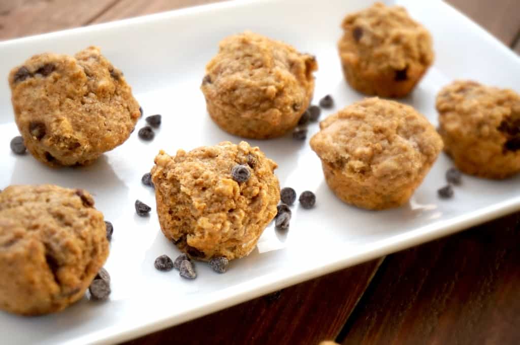 mini chocolte chip muffin