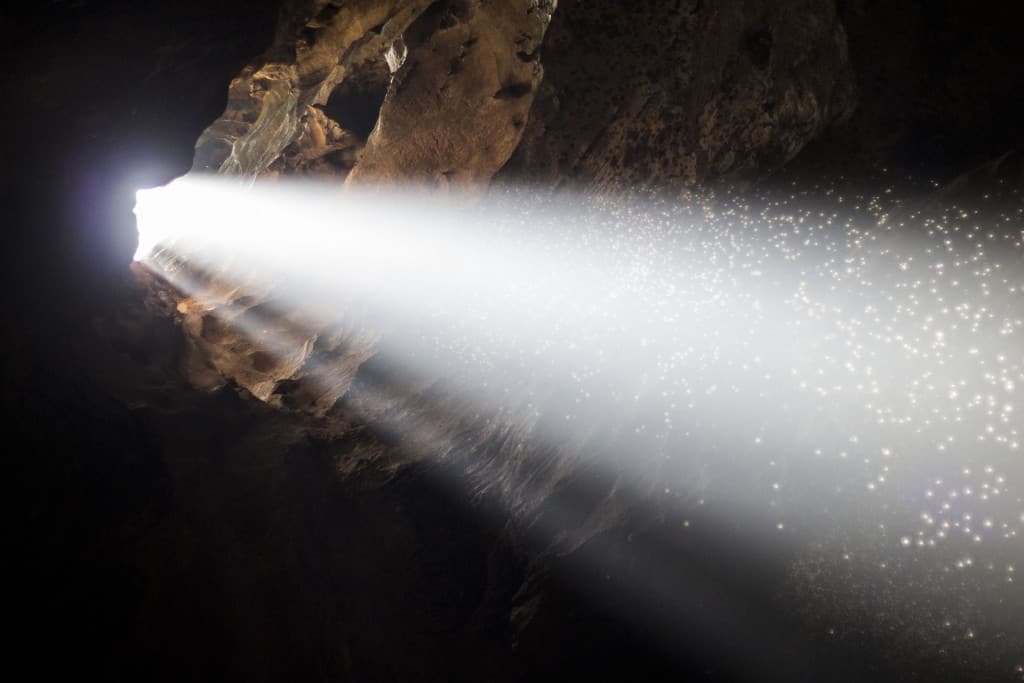 Waitomo Cave New Zealand Trip Review