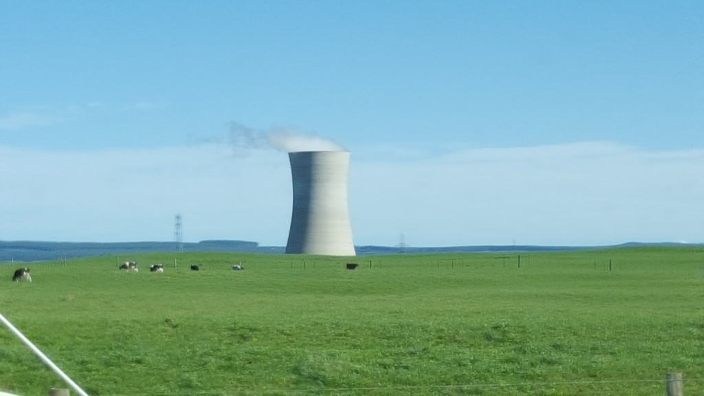 new zealand open farmland- no filter!