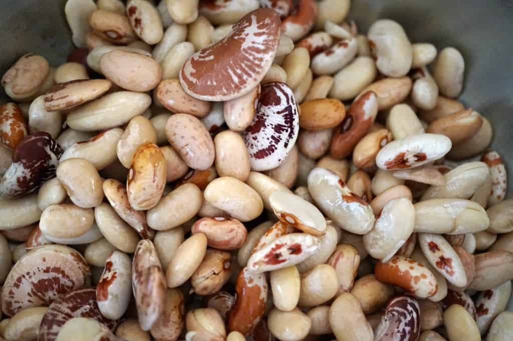 Heirloom Bean Blend-Shaw's Simple Swaps