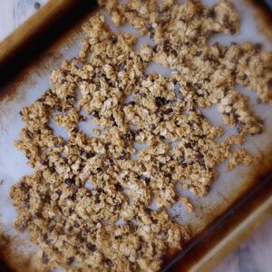 Gluten Free Crunchy Chocolate Chip Granola with Amaranth- Shaws simple swaps