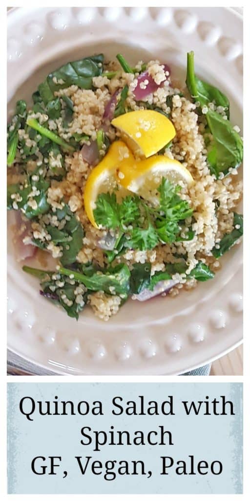 Healthy Quinoa Salad Gluten Free, Vegan & Paleo Approved