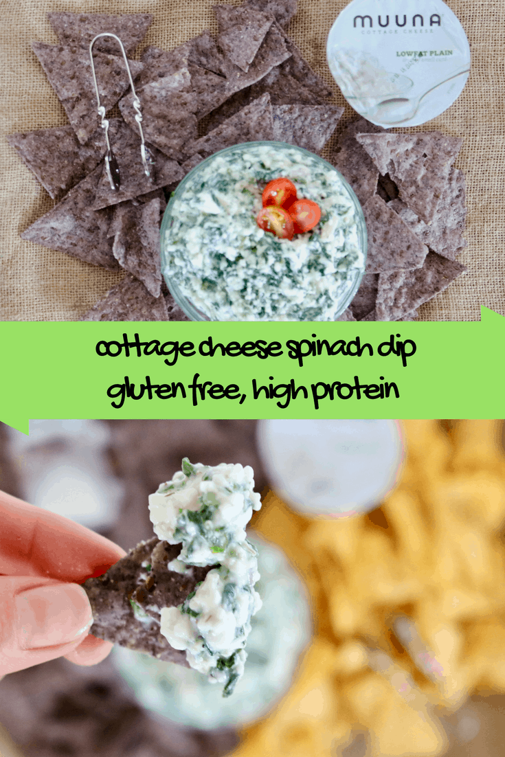 Cottage Cheese Spinach Dip Gluten Free Healthy Delicious