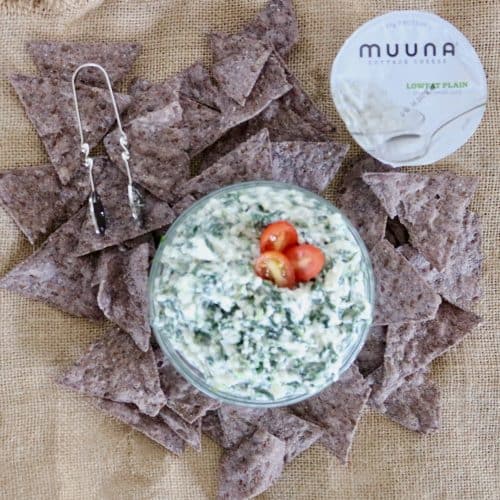 Cottage Cheese Spinach Dip Gluten Free Healthy Delicious
