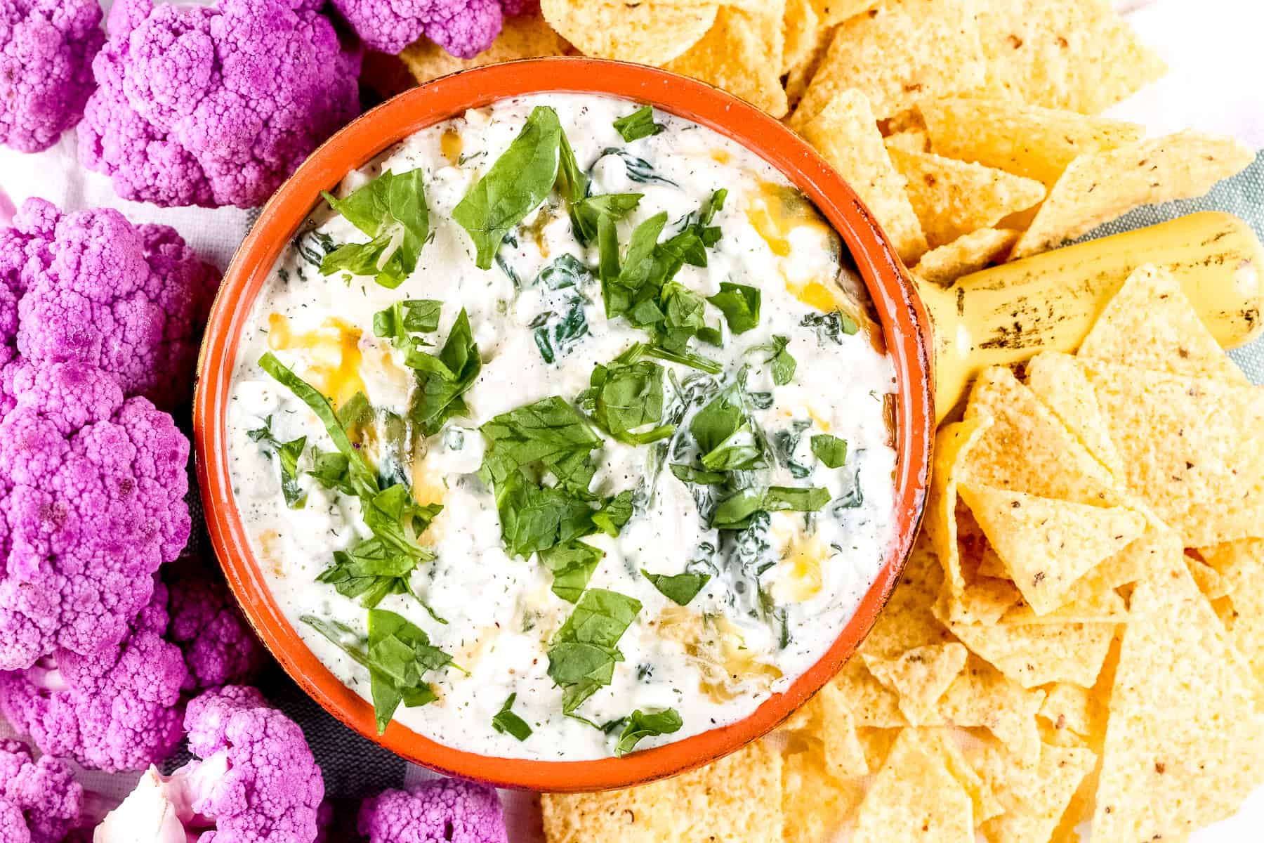 Image of plated spinach dip with chips and cauliflower around it. 