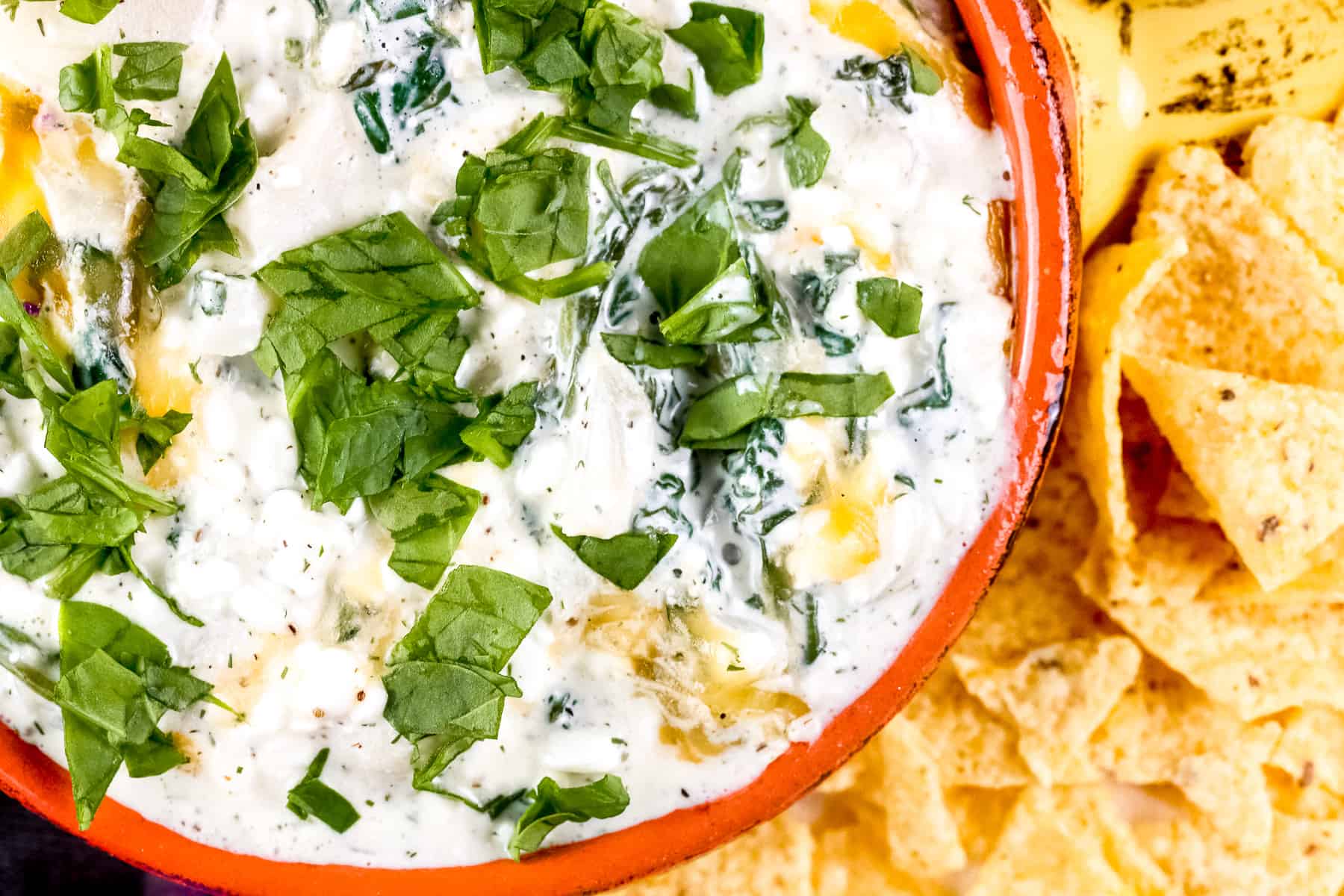 Plated spinach dip with chips.