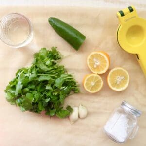 Cilantro Marinade - How to Use Up Herbs! @shawsimpleswaps