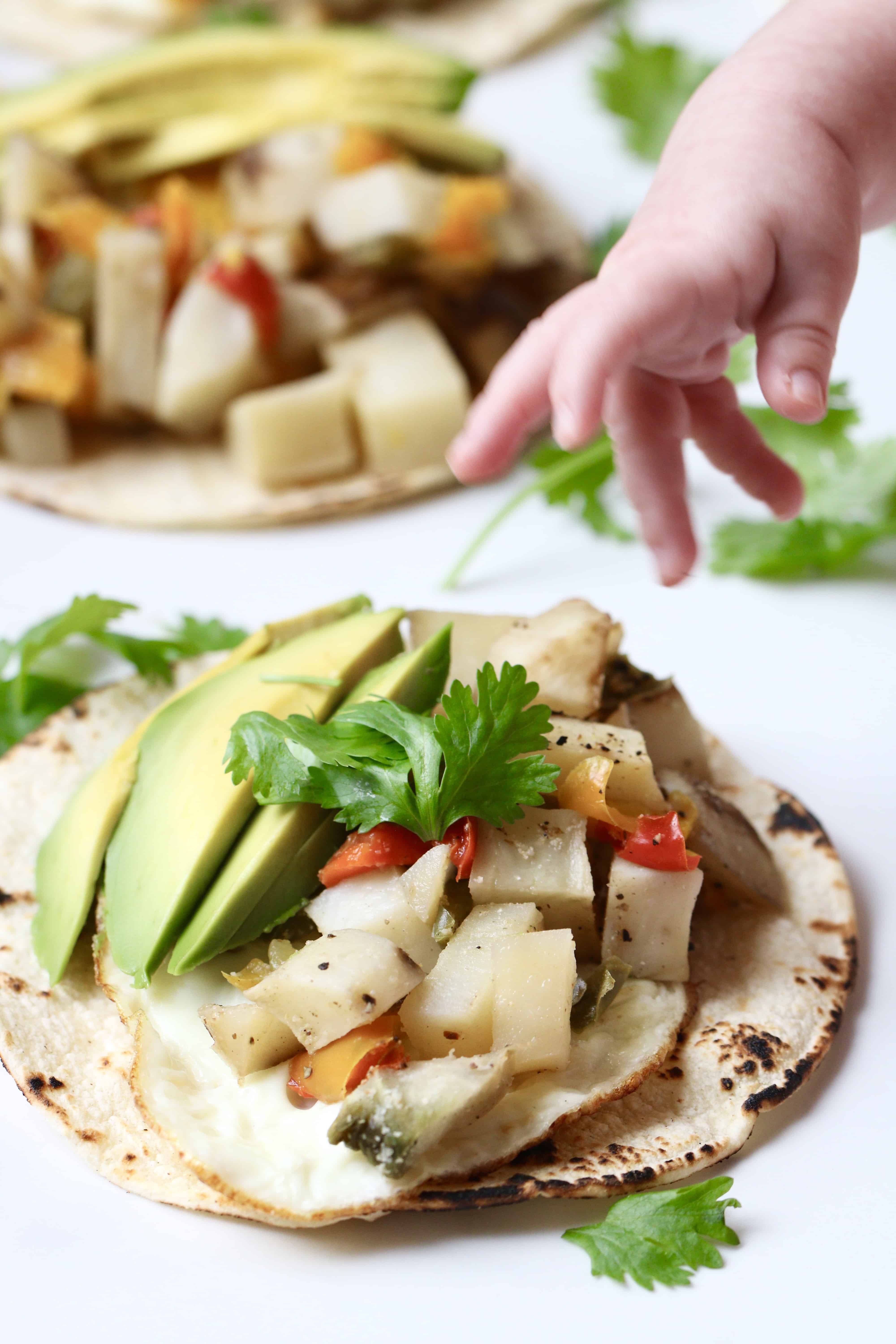 Baby hand in taco overhead shot.