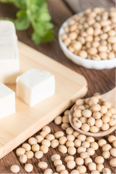 Samples of soybeans and tofu on cutting board.